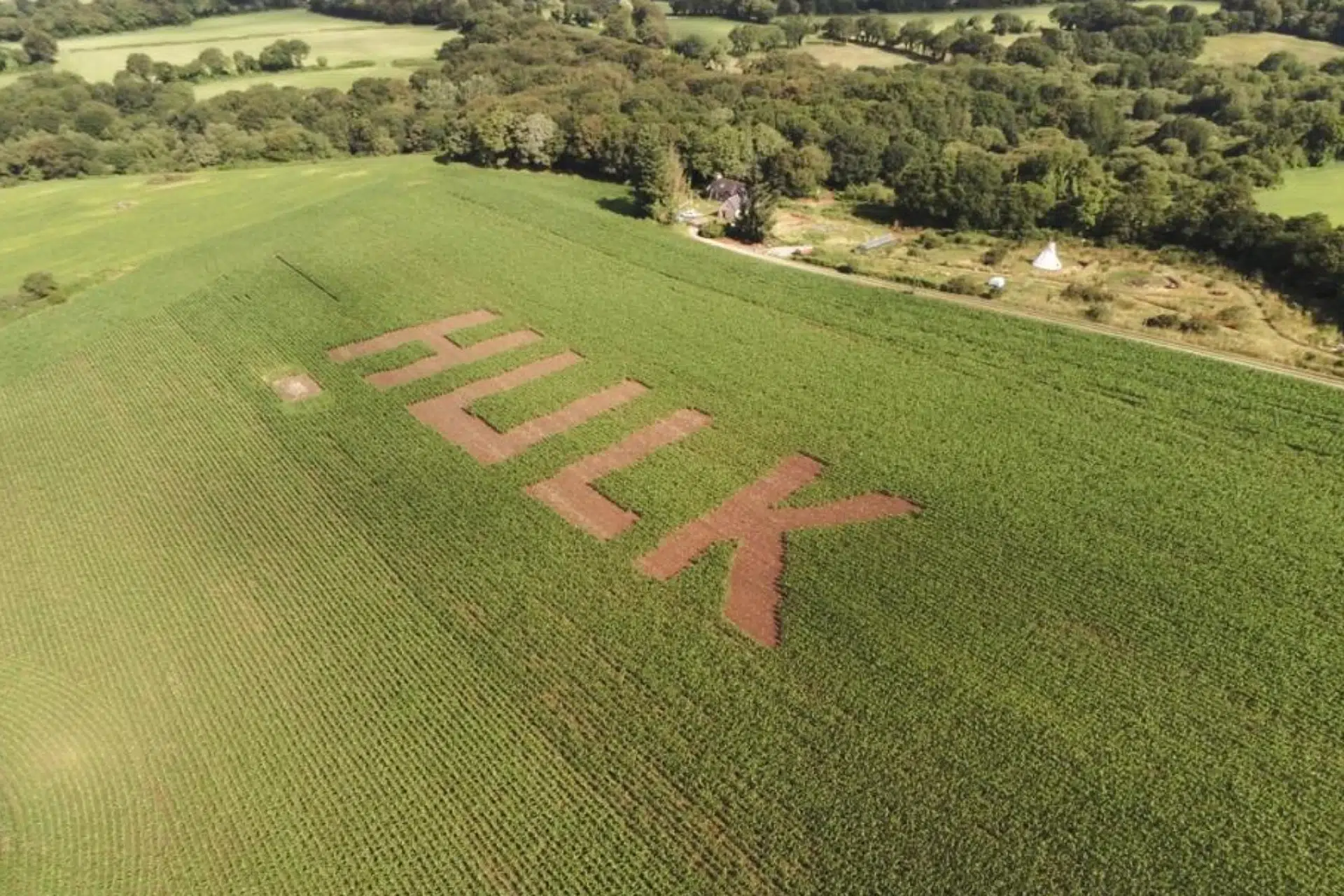 Mot HULK dans un champ de maïs | TERRE H2O Champ de maïs avec le mot HULK écrit au sol