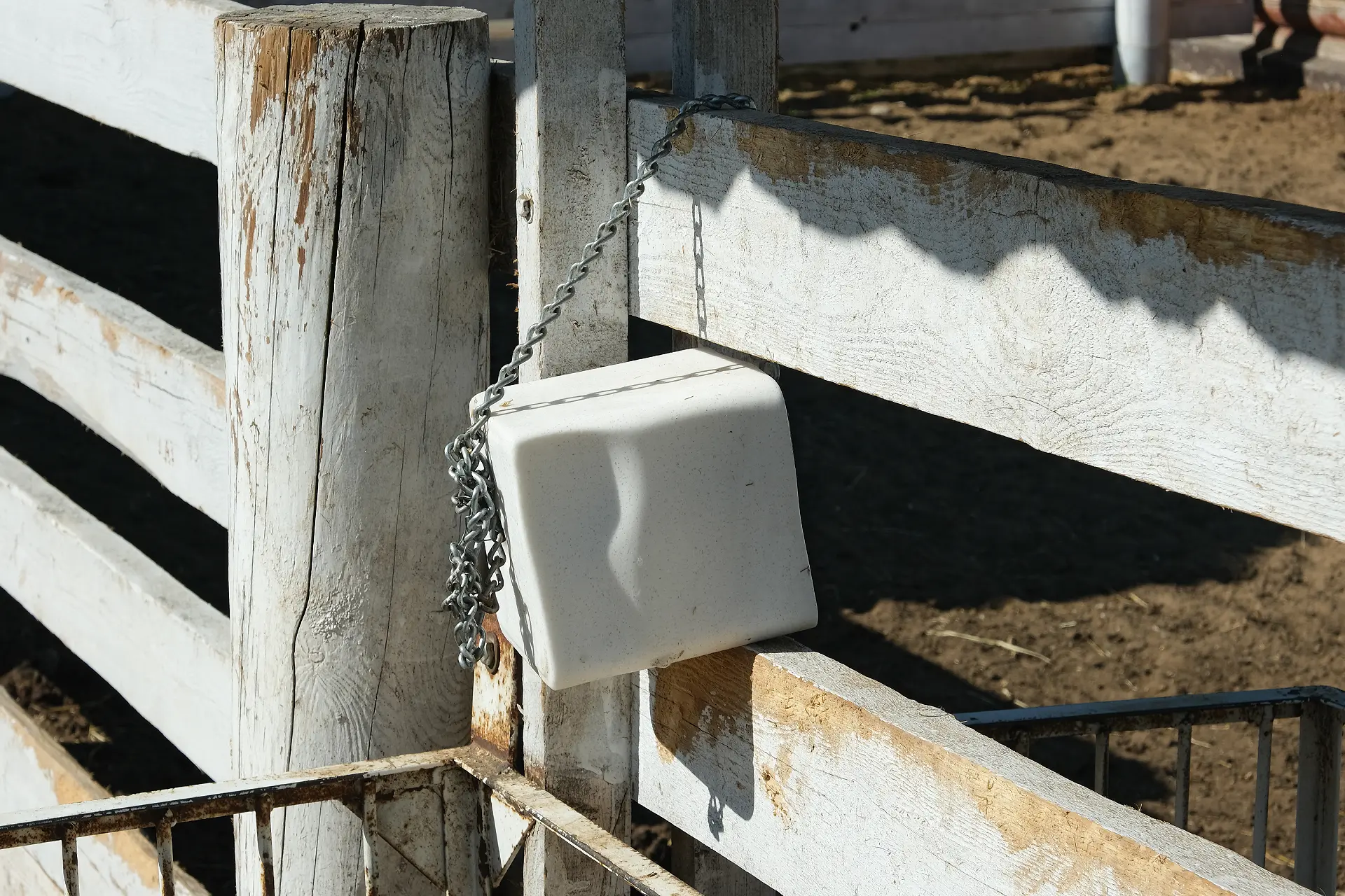 Bloc de sel pour animaux | TERRE H2O Bloc de sel suspendu à une clôture en bois.