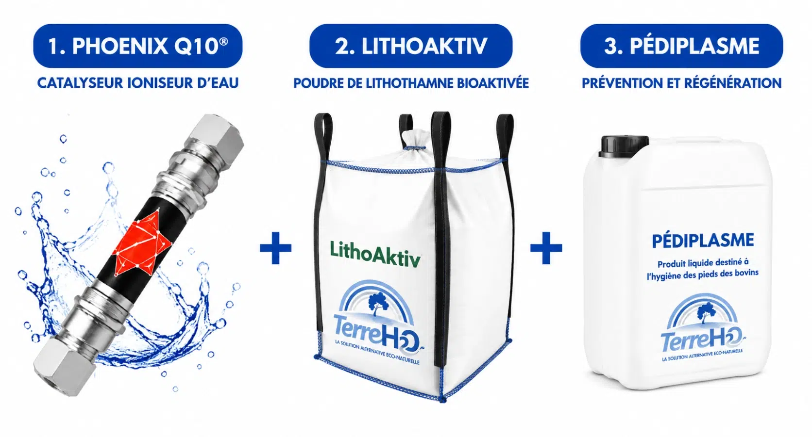 Solutions d'hygiène bovine | TERRE H2O Produits Terre H2O pour l'hygiène bovine